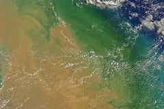 AmazonMouth-November12th-2022