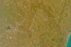 Savannah-February6th-2023