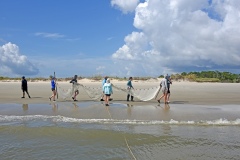 Students walk down the beach with a seine net.
