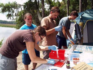 The UGA Skidaway Institute team processes water samples at their outdoor laboratory. (l-r) Megan Thompson, John DeRosa (UGA Intern), Zachary Tait and Dylan Munn (UGA Intern.) 