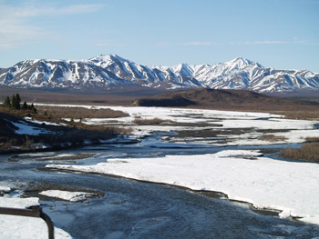 Arctic rivers are the major way black carbon is transported to the ocean.