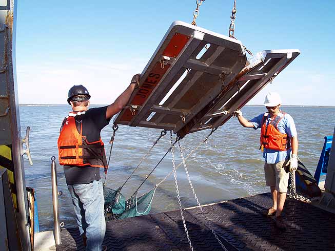 Launching the trawl net for the first 15-minute drag. 