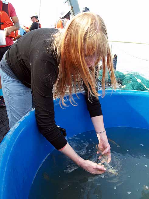 Savannah State grad student Ashleigh Price keeping some of the catch alive for future experiments. . 