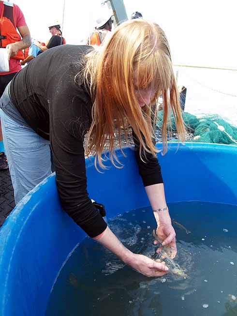 Savannah State grad student Ashleigh Price keeping some of the catch alive for future experiments. . 