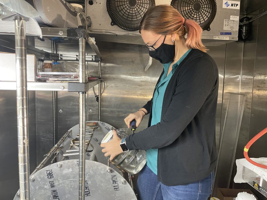 Tightening the hose clamps to secure a doliolid culture jar on the plankton wheel.