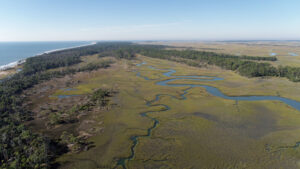 Aerial view of a coastal marshland with winding streams, grassy wetlands, and patches of forest, bordered by the ocean on the left and open fields on the right under a clear blue sky.