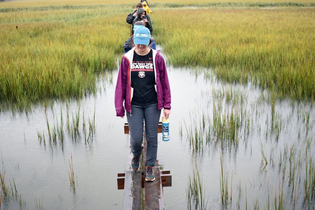 Semester at Skidaway walk through the Sapelo Island marsh on Oct. 27 on a narrow, unobtrusive boardwalk built by the UGA Marine Institute.