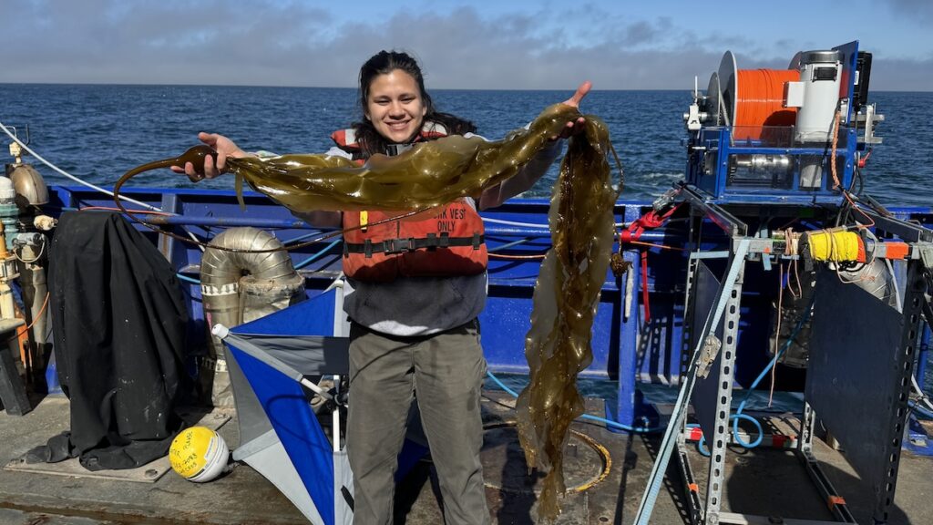 Meier holding marine vegetation on the deck of the R/V Sikuliaq.