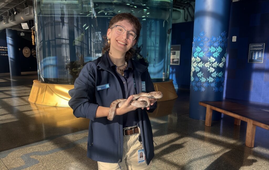 Kayleigh Everhart holds a snake in the South Carolina Aquarium. 