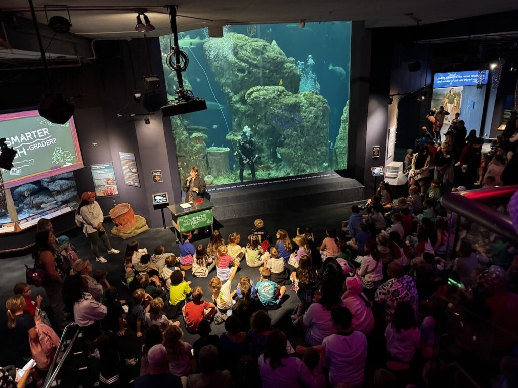 Everhart leading a show at the South Carolina Aquarium.
