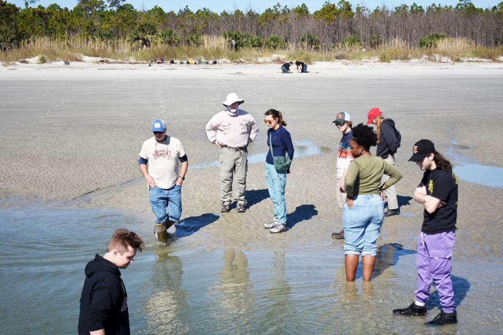 Students track mullet in a tidal pool on Wassaw's Atlantic-facing beach. 