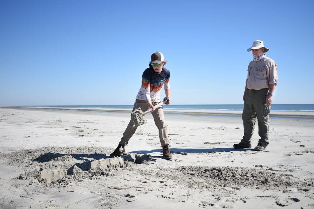 Semester at Skidaway student Isaac Post digs to reveal the natural mineral layers on Wassaw Island’s Atlantic-facing beach.