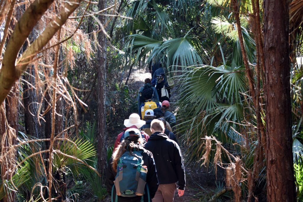 Students hike through the Wassaw Island trails.