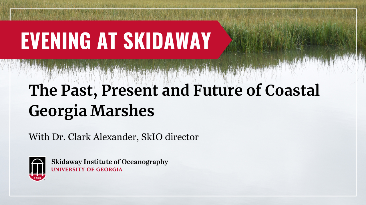 A graphic advertising Evening at Skidaway with Dr. Clark Alexander. A talk about Georgia marshes. There is text over a photo of marsh grass.